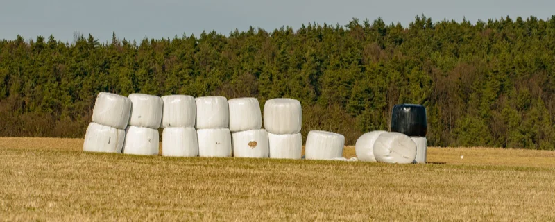 Silageballen auf Stoppelfeld – Siliermittel kaufen für Grassilage